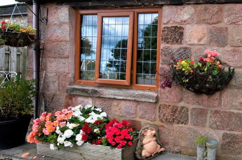 Photo 27 - Charming 1-bed Cottage in Staffordshire