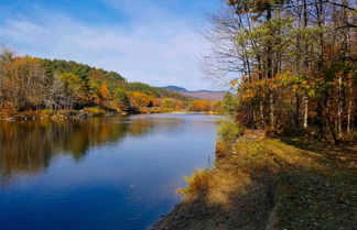 Photo 3 - Cozy White Mtn Hideaway ~ 4 Mi to Hiking & Skiing