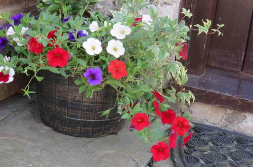 Photo 16 - Beautiful 3-bed Cottage in Llancarfan Nr Cardiff