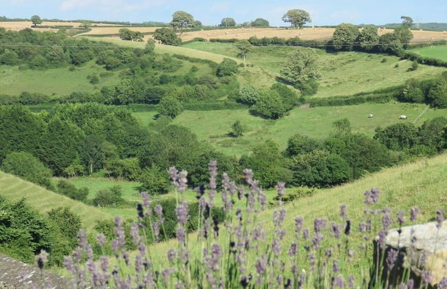 Vale of Glamorgan - Cottage - Sleeps 4 - Parking - Foto 14