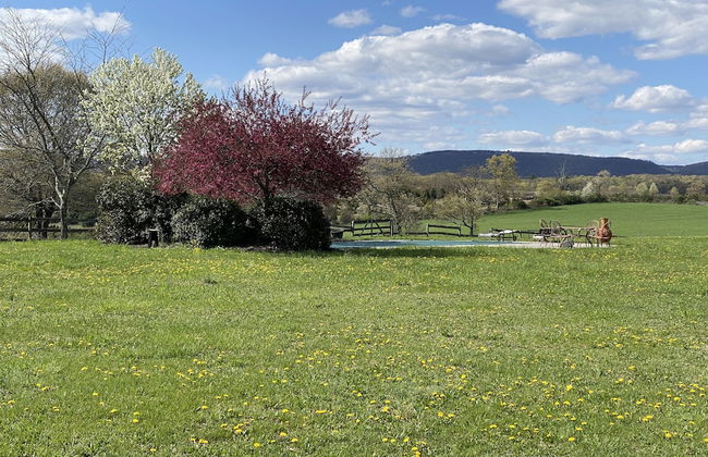 Chestnuthill Countryside Manor - Foto 18
