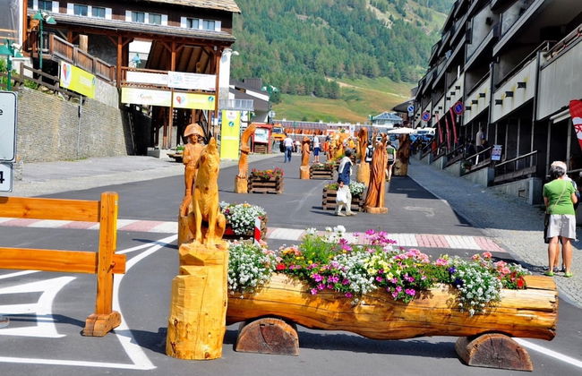 La Stella Alpina in Sestriere - Foto 33