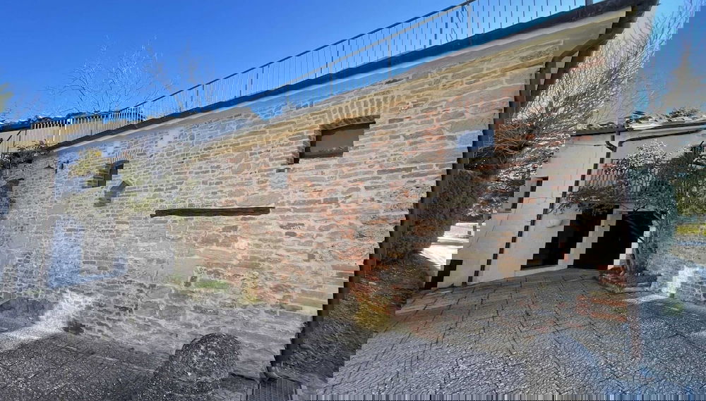 Primary image