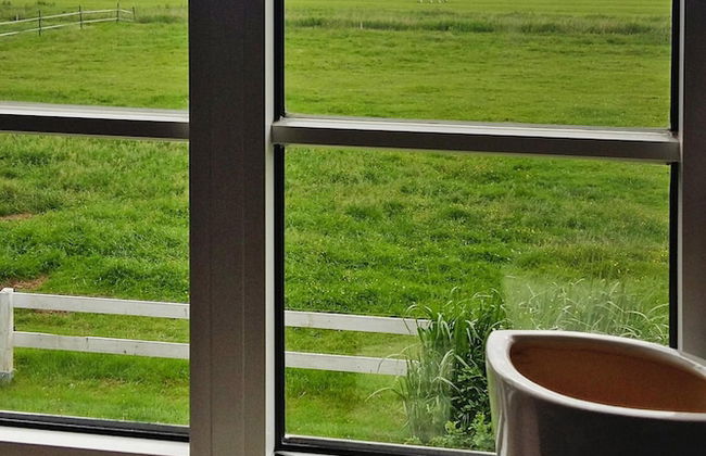 Ferienwohnung, Toenning - Photo 11