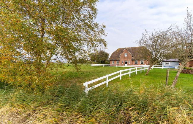 Ferienwohnungen, Tonning - Photo 1