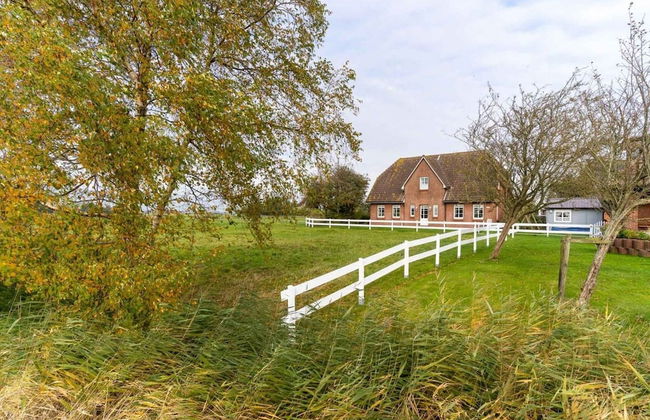 Ferienwohnung, Toenning - Photo 15