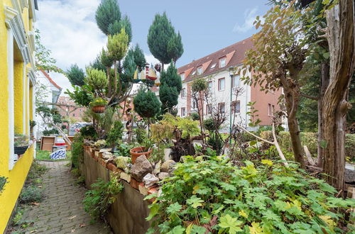 Foto 2 - Bewohnbares Museum in Wismar mit Garten