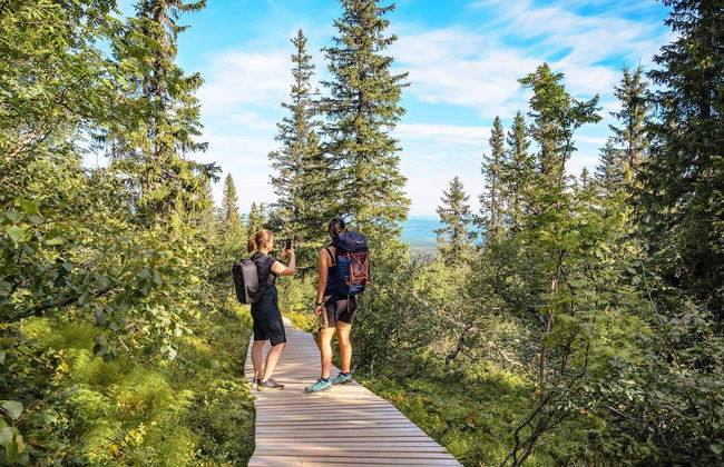 12 Person Holiday Home in Idre - Foto 13