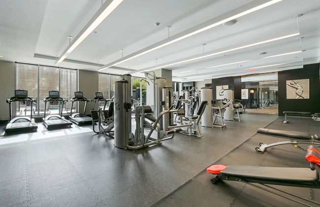Luxury Apartment in heart of Reston 2 bedroom - Foto 7