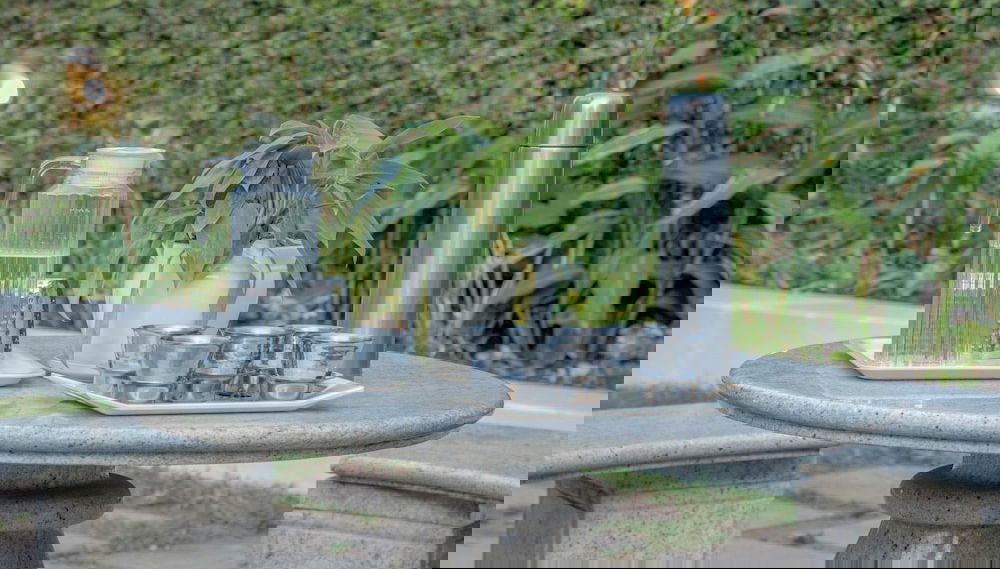 Image principale