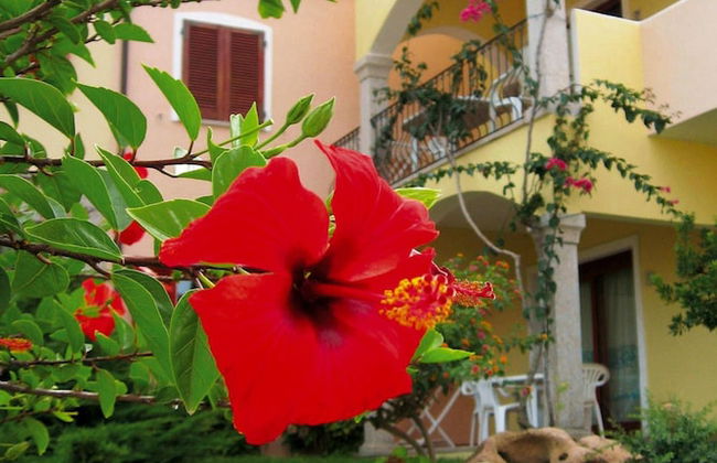 Apartment in Badus With Communal Pool - Foto 1