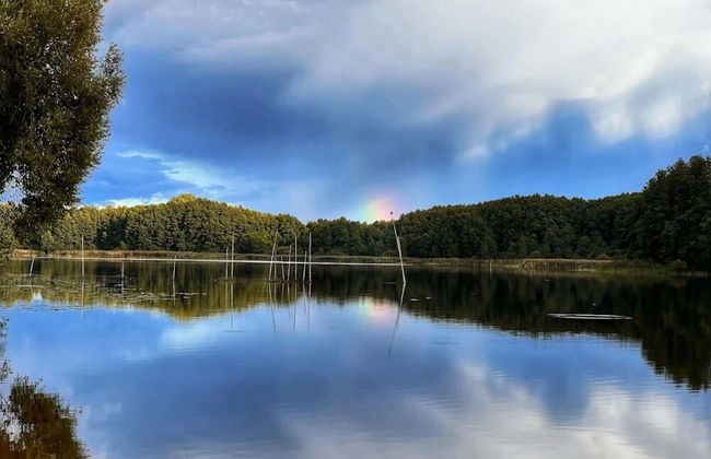 Studio in Buchholz am Mueritzsee - Foto 54