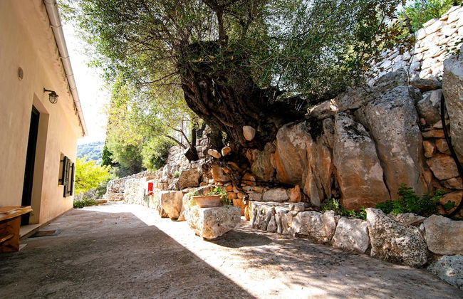 Villa Kounouvato Ithaca - Foto 41
