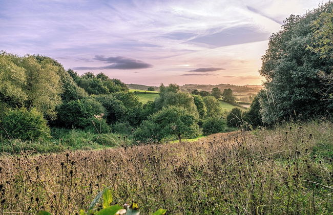 The Cider Barn - Gorgeous 2BD Near Bath - Photo 58