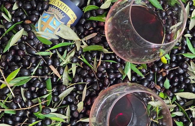 Il Casale Di John - Foto 1