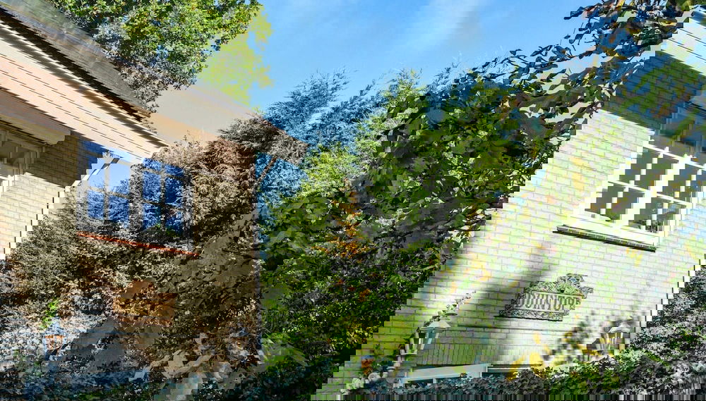 Image principale