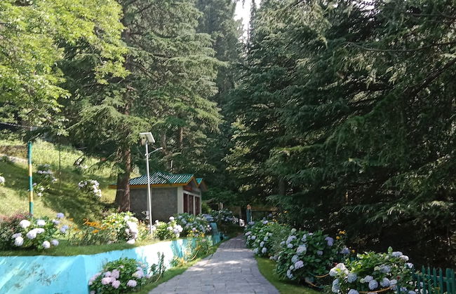 Eva Cabins - Foto 19