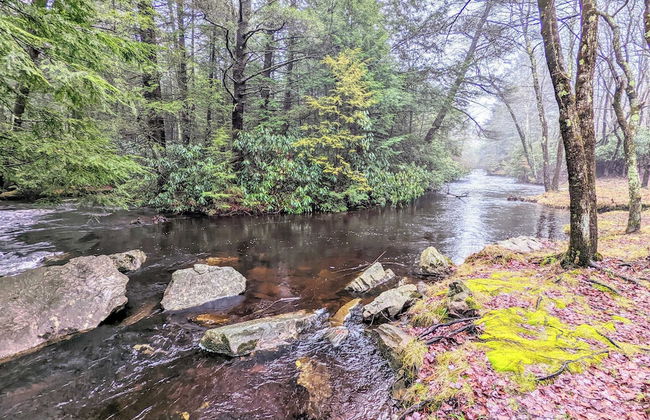 Trail House by Avantstay Walk to Creek + Deck - Photo 2