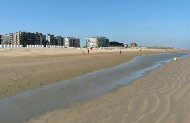 Sunny Escape by the Shore - Foto 37