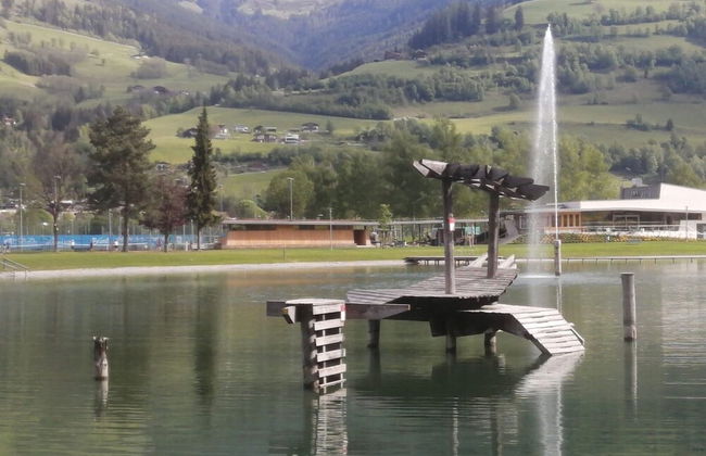 Apartment in Niedernsill Near Ski Slopes - Foto 35