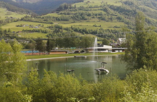 Apartment in Niedernsill Near Ski Slopes - Foto 31