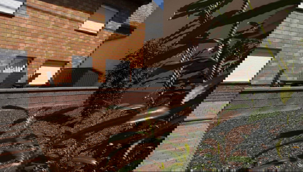 Imagem principal
