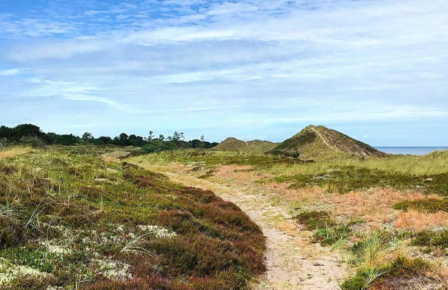 4 Star Holiday Home in Laeso - Foto 35