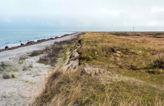 4 Star Holiday Home in Laeso - Foto 33