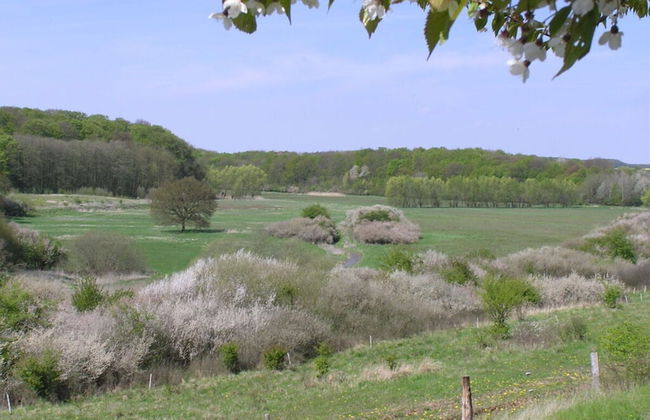 aan de Pastorie - Foto 10