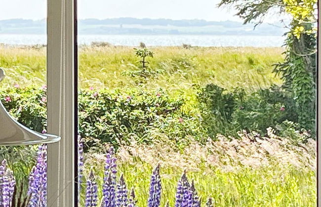 6 Person Holiday Home in Thyholm - Foto 60