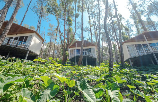 La Pino Mount Batur and Hot Spring - Foto 47