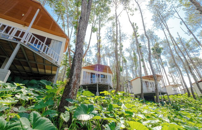 La Pino Mount Batur and Hot Spring - Foto 52
