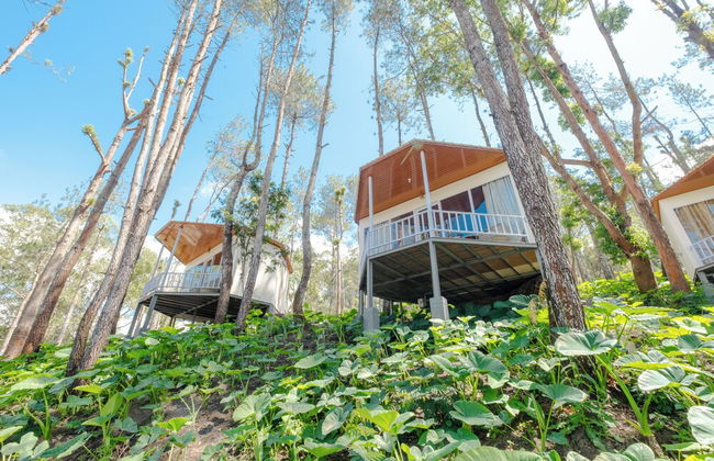 La Pino Mount Batur and Hot Spring - Foto 58