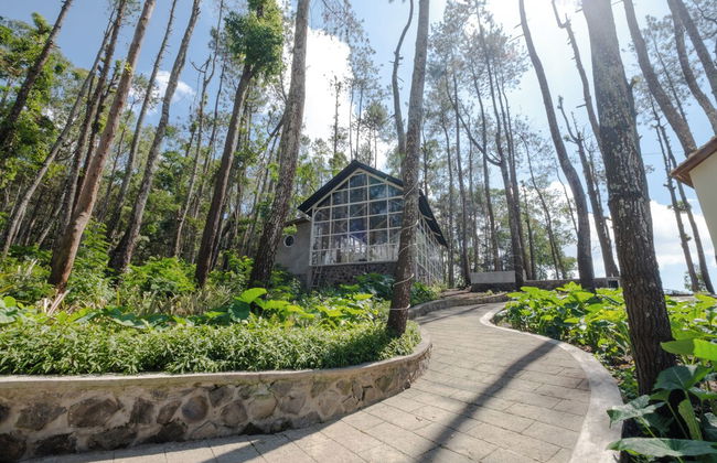 La Pino Mount Batur and Hot Spring - Foto 36