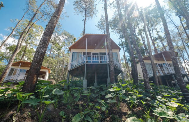 La Pino Mount Batur and Hot Spring - Foto 44