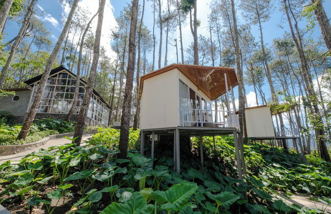 La Pino Mount Batur and Hot Spring - Foto 49