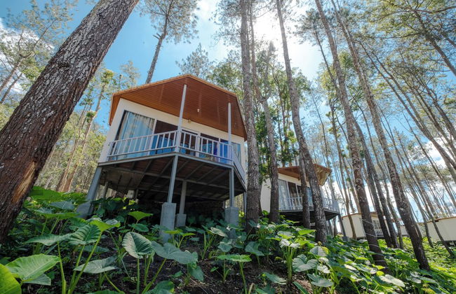 La Pino Mount Batur and Hot Spring - Foto 61