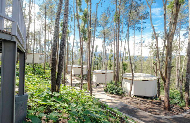La Pino Mount Batur and Hot Spring - Foto 60