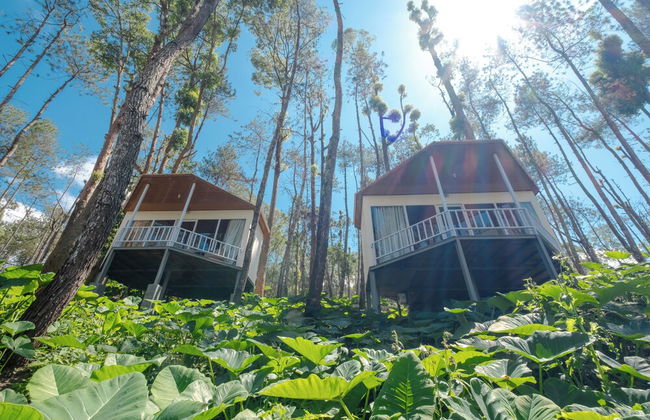 La Pino Mount Batur and Hot Spring - Foto 46