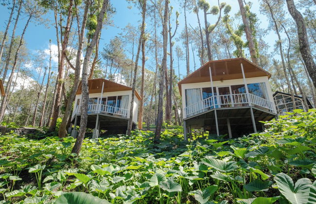 La Pino Mount Batur and Hot Spring - Foto 54