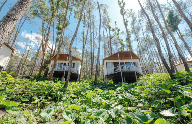 La Pino Mount Batur and Hot Spring - Foto 34