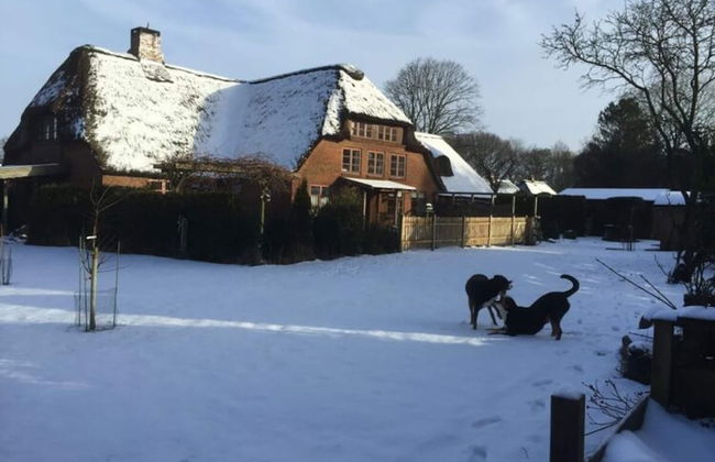 Holiday Apartment Ebbe - Foto 1