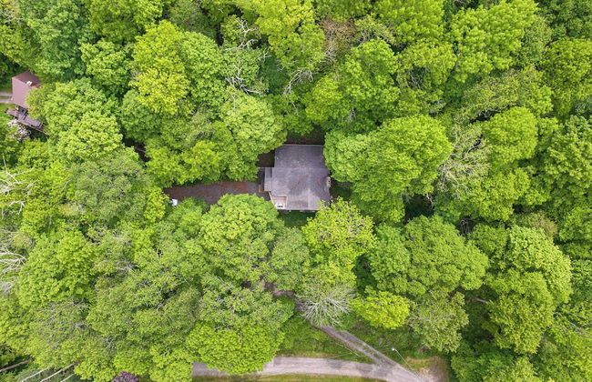 Deck w/ Forest Views, Ping Pong Blue Ridge Mtn Escape Ash Vale by Avantstay - Foto 34