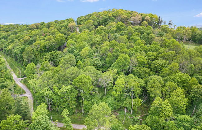 Deck w/ Forest Views, Ping Pong Blue Ridge Mtn Escape Ash Vale by Avantstay - Foto 36
