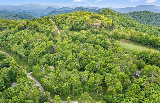 Deck w/ Forest Views, Ping Pong Blue Ridge Mtn Escape Ash Vale by Avantstay - Foto 37