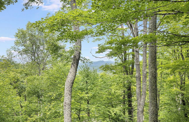 Deck w/ Forest Views, Ping Pong Blue Ridge Mtn Escape Ash Vale by Avantstay - Foto 35