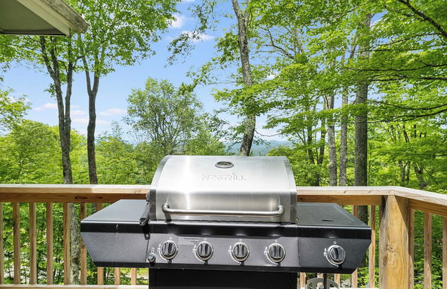 Deck w/ Forest Views, Ping Pong Blue Ridge Mtn Escape Ash Vale by Avantstay - Foto 29