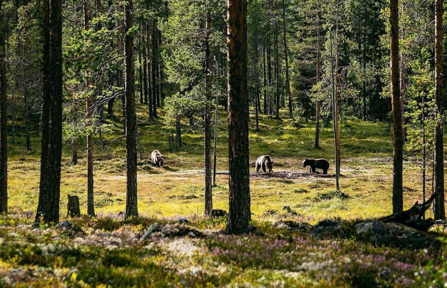8 Person Holiday Home in Lofsdalen - Photo 25