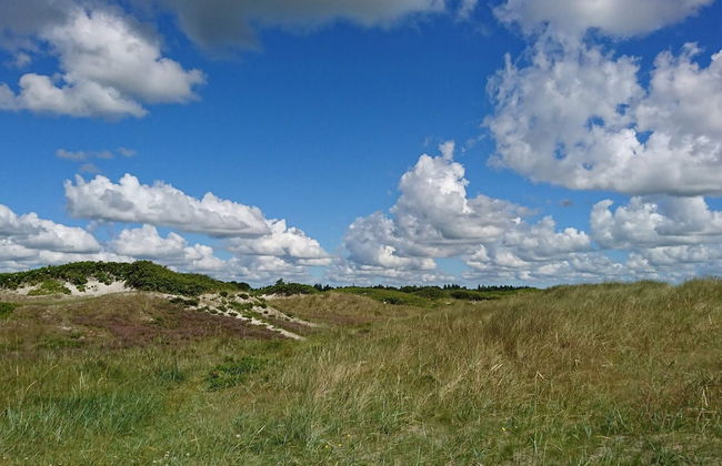 5 Person Holiday Home in Hals - Photo 4