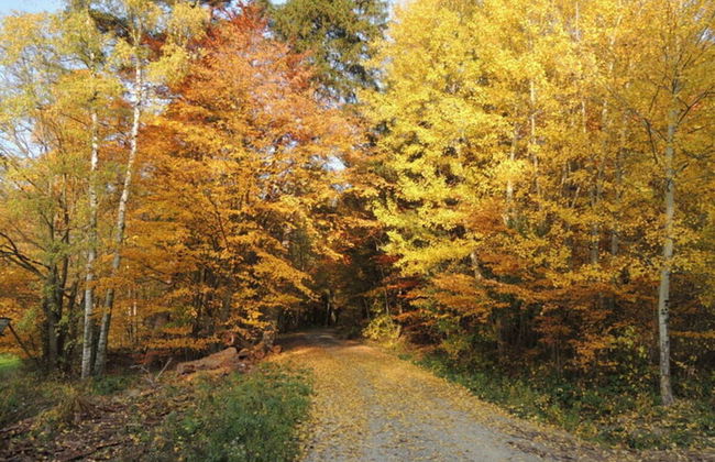 1 Mainblick Brigitte - Foto 6